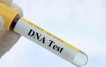 What Is DNA Testing?